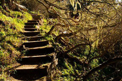 staircase.webp