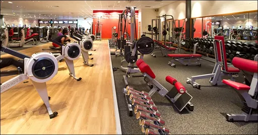 Gym.webp