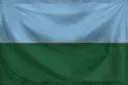 Карагана.webp