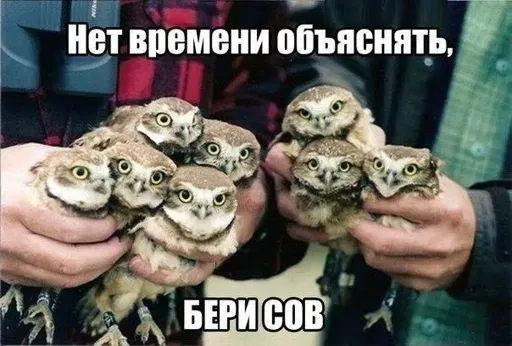 141211145901.webp