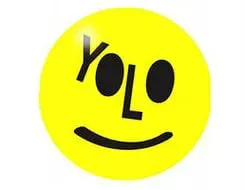 yolo.webp