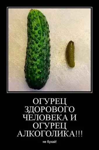огурец.webp