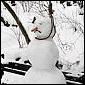 Snow.webp