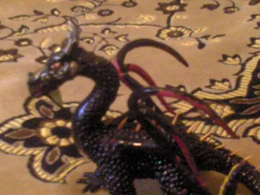 DSC00005.webp