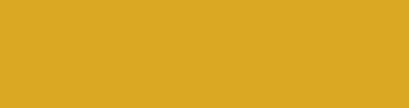background.webp