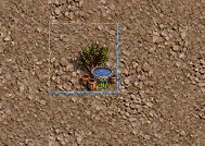 Watering.webp