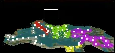 Map First.webp
