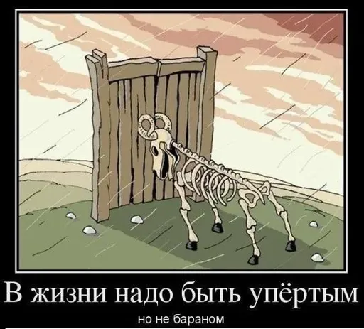 Рисунок.webp
