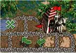 5.webp