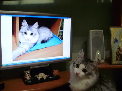 Лютик комбо.webp
