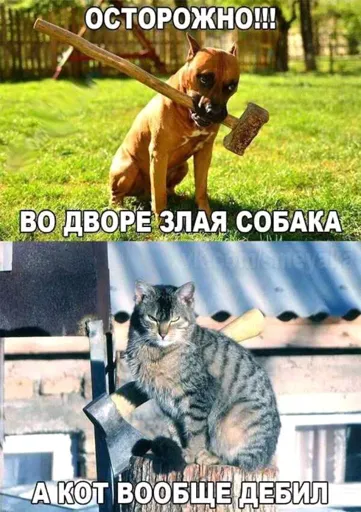 FB_IMG_14807645047517704.webp