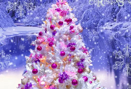 77671.webp