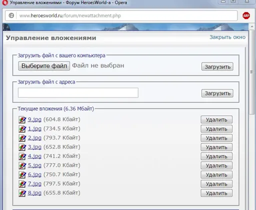 11.webp