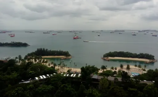 _5.webp