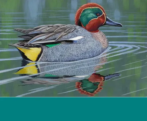 teal_1.webp