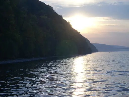 DSCN5076.webp