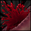 16.webp