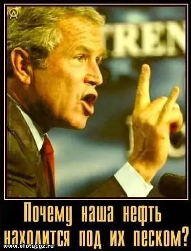 91bd4703bfbf.webp