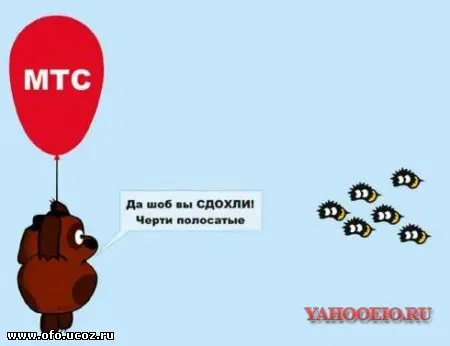43b7d55b6446.webp
