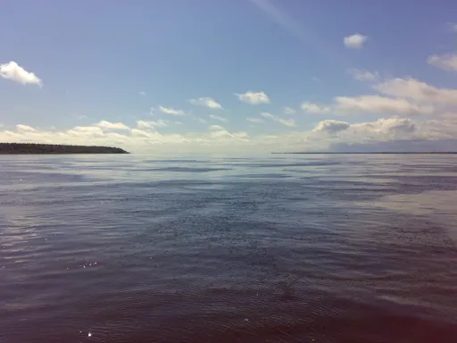 06082007054.webp