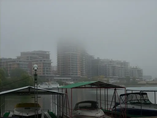 DSCN4646.webp