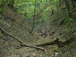 DSCN4858.webp