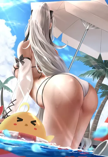 dr1.webp