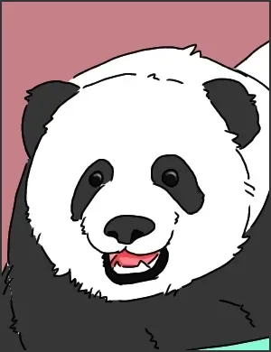 04.webp
