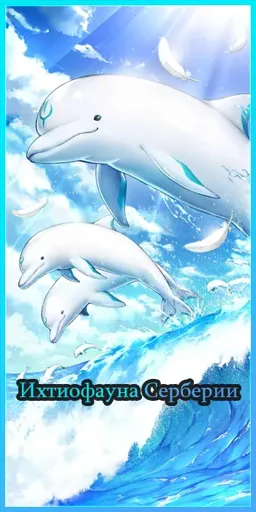 fish.webp