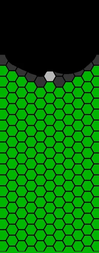 39.webp