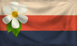 Моэния.webp