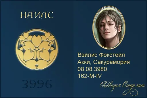 006.webp