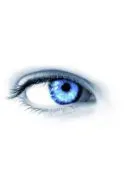 mob.w. (39).webp