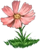 6.webp