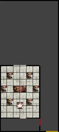 room.webp