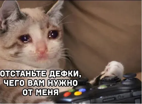 ккц.webp