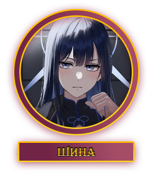 Шина.webp