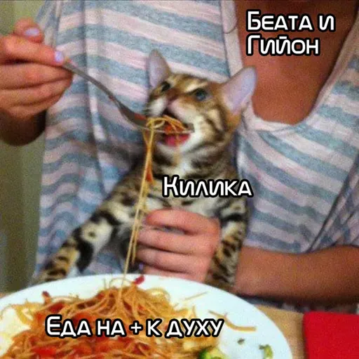 feeding kitty.webp