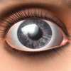 3d_84.webp