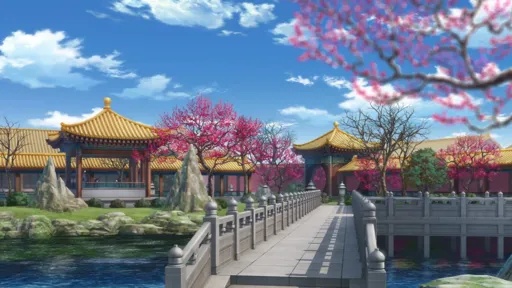 12.webp