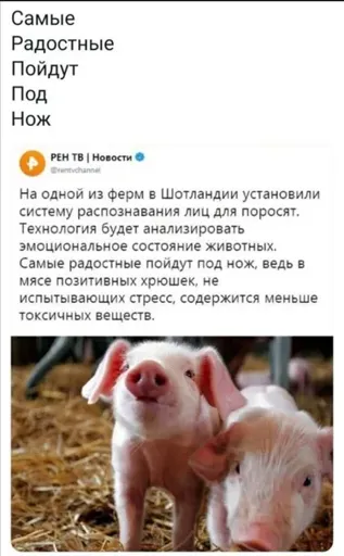 uZv4JnXAb38.webp