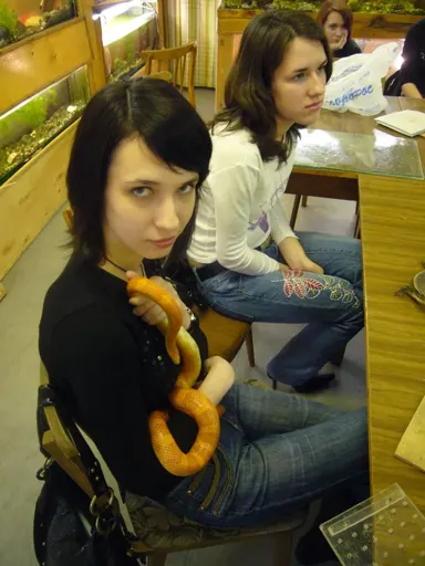 f_10031854.webp