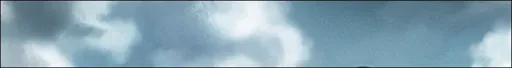 004.webp