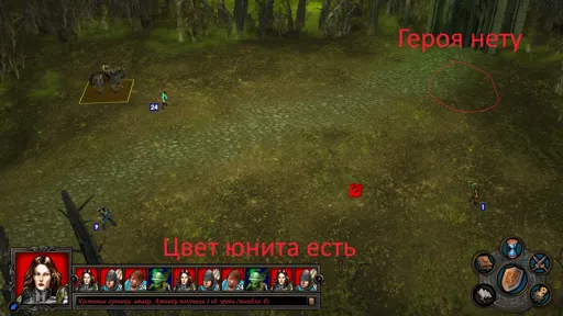 5.webp