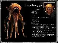 mini-Fiche%20ID_FaceHugger_s.jpg