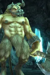 level5.jpg