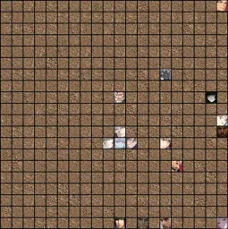 tournament copy 2.webp