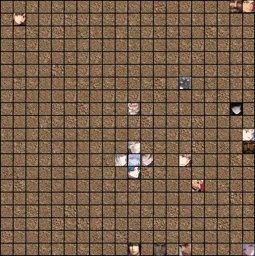 tournament copy 2.webp