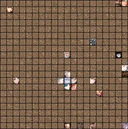tournament copy 2.webp