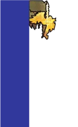 01.(Texture).webp
